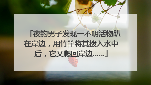夜钓男子发现一不明活物趴在岸边，用竹竿将其拨入水中后，它又爬回岸边……
